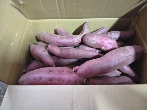 訳あり！熟成紅はるか　5kg  さつまいも
