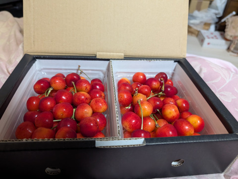 ⭐︎27日まで⭐︎【紅秀峰】1キロ🍒【Lサイズ以上】【お中元に