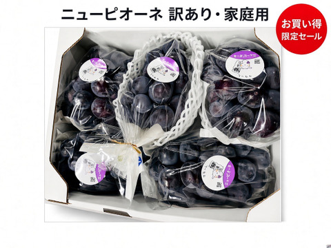 訳あり！家庭用『ニューピオーネ』岡山県産 1.8~2kg：岡山県産の