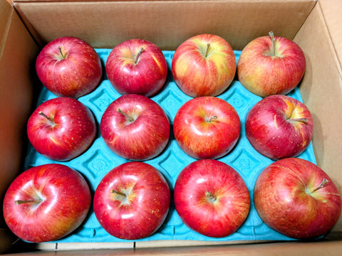 「シナノスイート」お徳用訳あり家庭用3キロ　まだまだ美味しい美味しさkeep！スマートフレッシュ鮮度保持貯蔵 10個から12個入り　甘くてジューシー　　ご好評販売中