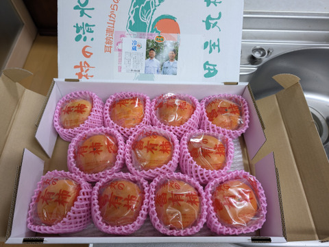 冷蔵柿（富有柿）11個入りⅬサイズ
福岡県久留米市田主丸産