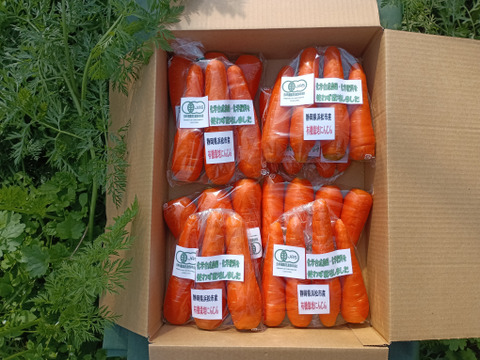 【有機JAS認証取得】冬が旬！あま～い有機にんじん8袋入り