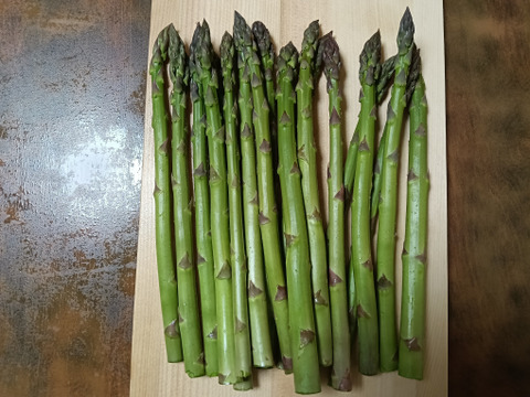 鮮度抜群！グリーンアスパラガス500g
