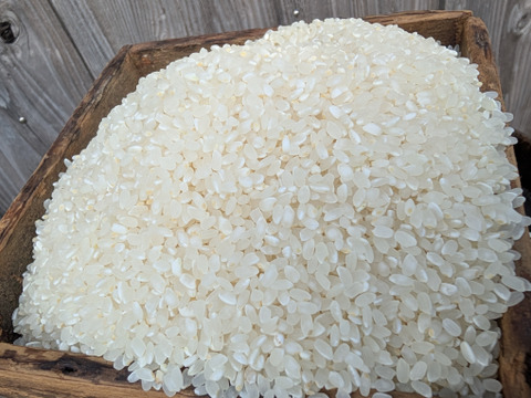 《令和７年収穫》白米４KG　栽培期間中農薬・化学肥料不使用 自然農業での栽培 五島列島産