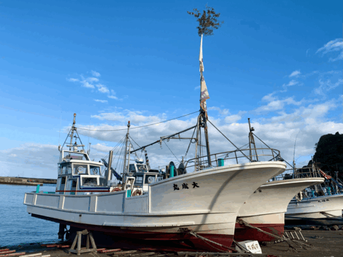 青空レストランで紹介【太東・大原産マダコ】茹でタコ500g以上