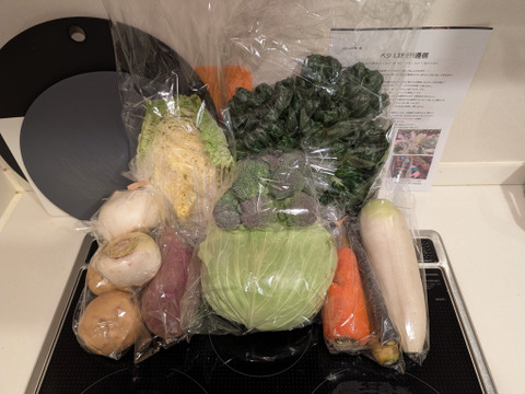 【初回限定BOX】使いやすいお野菜セット※おススメレシピ付き‼