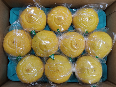 春の味　贈答用　はるか　１0玉