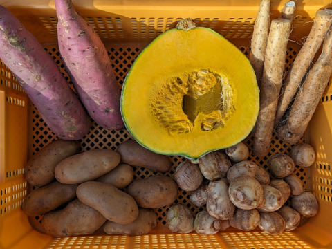 自然薯入り、ホクホクのお芋＆南瓜セット