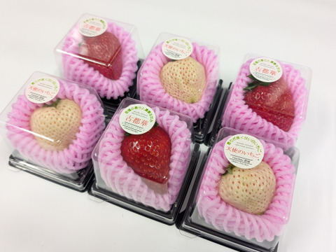 ひと粒の幸せ‼大粒紅白『古都華＆天使のいちご』特別栽培農産物　6個入1箱