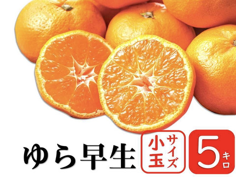 果汁たっぷり、この味衝撃！　ゆら早生　由良【小玉　5kg】