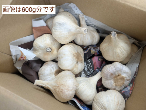 化学合成農薬、化学合成肥料不使用　平戸ニンニク　1kg