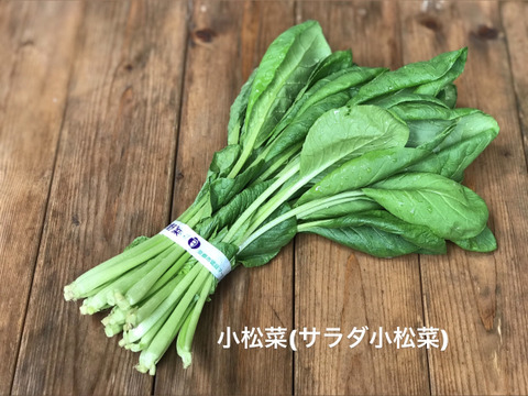 春の彩り 京の葉物野菜セット7品目【漢方栽培】