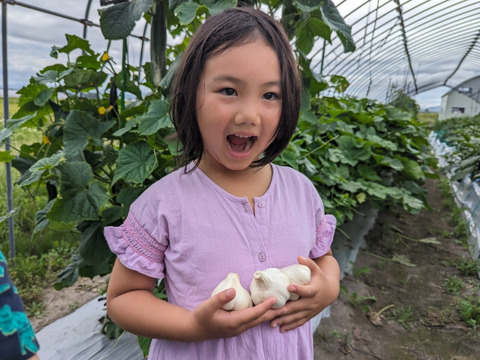 【北海道産】にんにく2kg　ジューシーさが残る美味しさ＜栽培期間中農薬不使用＞ ＜有機肥料自家栽培にんにく＞