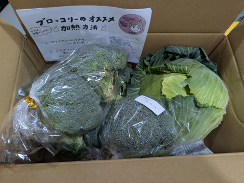 食べてみりん🥦🥬セット