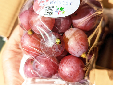 完熟つぶつぶクイーンニーナ500g入り×2袋（1000g）※信州の環境にやさしい農産物50％節減（長野県認証）