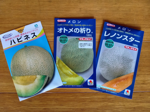 品種おまかせ！メロン２玉セット