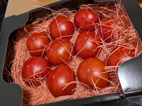 【全国トマト選手権入賞】ぜいたくトマト《冬の陣》
