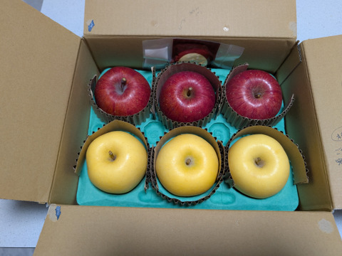 【冬ギフト】【蜜入保証】【サンふじ・はるか HALF&HALF】（2kg・6～8個入り）パリパリ・ジューシー豪華な贈答用