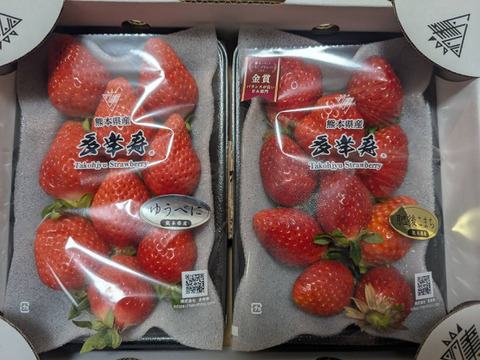 食べ比べ🥇『肥後こまち』と🥉『ゆうべに』セット！ご家庭用パック 各1P（合計2P）