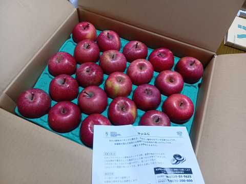 ⚠︎1月7日から発送🍎りんごグランプリ2025最高金賞1位🎊  サンふじ 5キロ箱小玉 食べきりサイズ20〜33玉程度 ID56576 長野県 信州 安曇野 リンゴ 幻 予約 旬 甘い