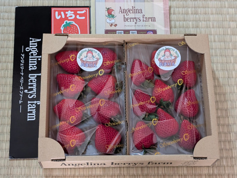 プレミアムいちご 『あまりん』8粒、9粒、11粒、15粒 のいずれか 250g×2パック入り