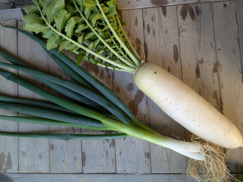 【限定】京のお正月お野菜セット【 漢方栽培】