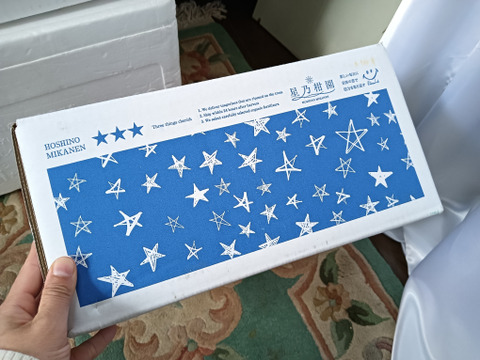 【訳あり】星乃デコ 不知火 木成り完熟 愛媛産みかん 3.5kg