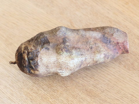 ヤーコン(1kg)