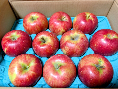 【甘いりんご解禁です🍎】 シナノスイート 3キロ箱 6玉〜15玉サイズ ID42539  甘い 長野県 信州 安曇野 リンゴ 幻 幻のリンゴ 予約 希少 旬