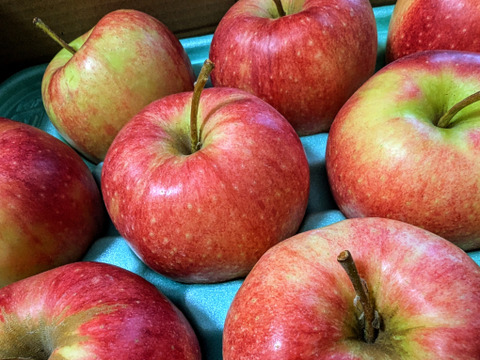 【10月発送】農薬50%削減🍎ジョナゴールド🍎3kg ジューシーで爽やかな酸味😆 キズなし良品🎁 化学肥料不使用 特別栽培りんご 予約 人気
