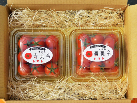 寿美令トマト🍅フルティカ（250gパック2個／段ボール発送）フルーツトマト　ミニトマト　アイメック農法【母の日ギフト】