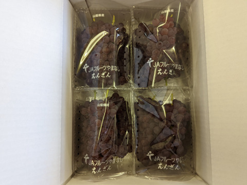 ★8月発送予定30名様限定商品★（山梨県産 デラウェア 約2.0kg）