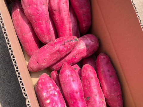 秀品☆紅はるか新さつまいも　5キロ