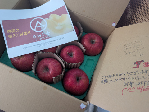 【蜜入保証】【サンふじ】（2kg・9～10個入り）パリパリ・ジューシーお得な家庭用