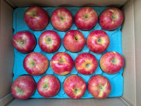 完売🍎【りんごの概念変わります】見た目は悪いです！奥州ロマン 訳あり品 5キロ箱 15玉から33玉くらい ID12924 長野 信州 安曇野 リンゴ 幻 幻のリンゴ  希少  甘い