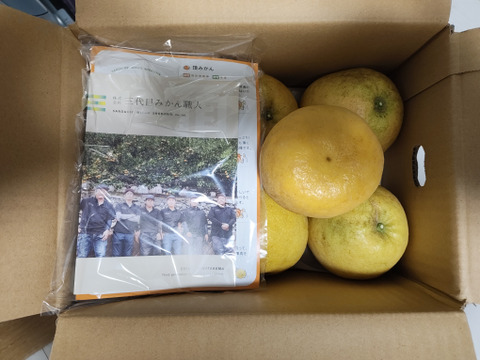 河内晩柑3kg(ご家庭用)「じゅわっと完熟、初夏の贈り物」