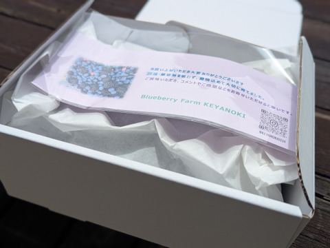 【新鮮・完熟・フルーティ】ラビットアイ·ブルーベリー1kg
