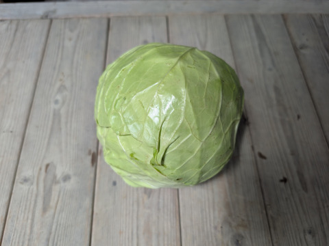 京の野菜セット【漢方栽培】