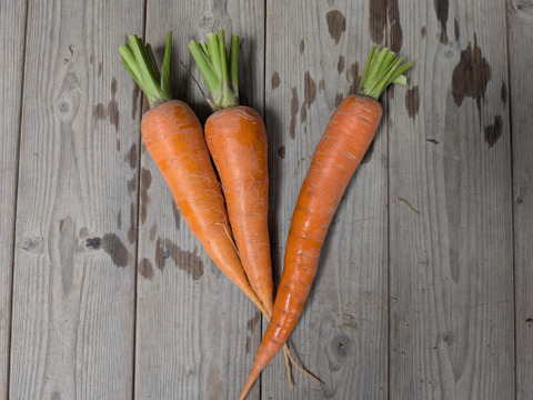 京の野菜セット【漢方栽培】