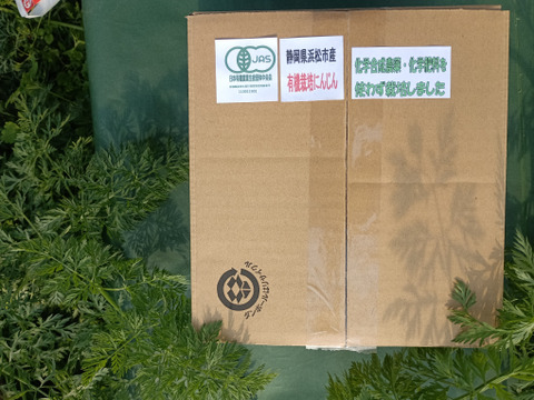 【有機JAS認証取得】冬が旬！あま～い有機にんじんバラ売り3kg程度