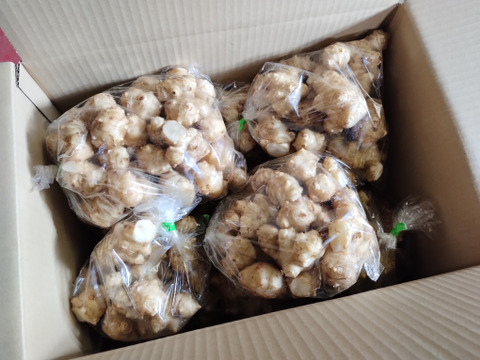 【大容量9kg】5ヶ月間雪下で甘み熟成！甘くてジューシー雪下キクイモ【なべくら高原産・世界三大健康野菜】　※9kg・100サイズ