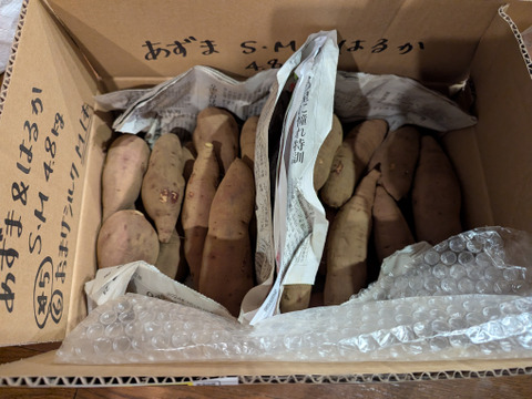 2種食べ比べ！ホクホク系&ねっとり系　M〜2L
千葉県香取市産【あずま＆はるか】4.8kg