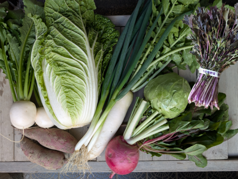 京の旬野菜セット--9種--【漢方栽培】