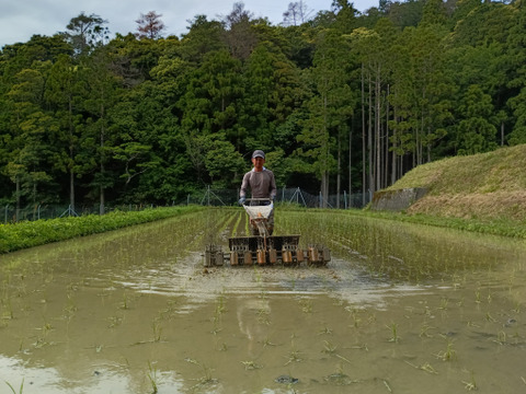 米粉　５００ｇ　自然栽培　ササニシキ
