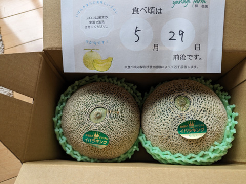 【糖度満点イバラキング】                                   口の中でとろけて飲める果実🍈