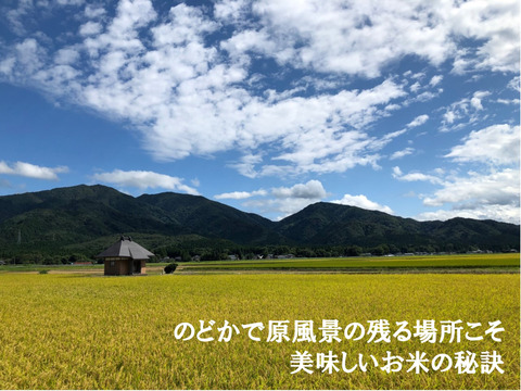 令和６年新米 特別栽培米''隠れたお米の名産地''新潟県五泉産コシヒカリ100%「南郷米」精米20kg