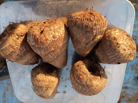 お問い合わせ用ページ⭐️埼玉県産　里芋⭐️ 里芋2kg 農薬・化学肥料不使用：埼玉県産の野菜｜食べチョク
