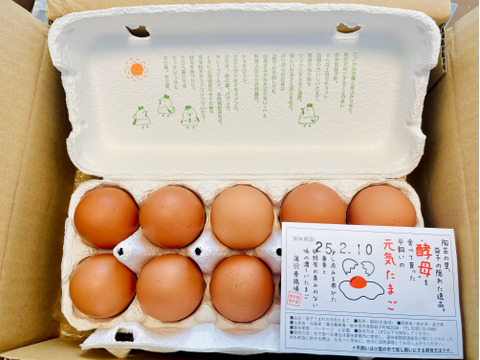 大寒たまご【平飼い20個】酵母を与えて育った平飼いたまご20個（元気たまご）