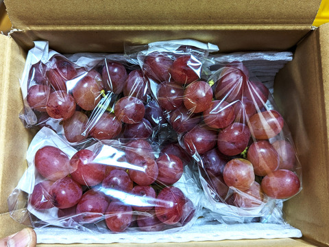 女王のルビーの輝き、甘く芳醇な香り！クイーンルージュ 約800g（2～4房）長野県認証/特別栽培同基準（信州の環境にやさしい農産物認証50）