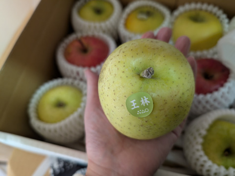 農薬半減・化学肥料不使用の特別栽培りんご3種食べ比べ🍎🍏 訳ありご家庭用 おまかせ3kg 青森県特別栽培認証取得 詰め合わせ　りんご食べ比べ